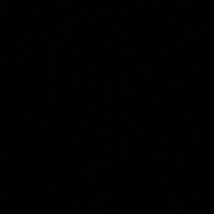 Meet your Posher, Brigitte